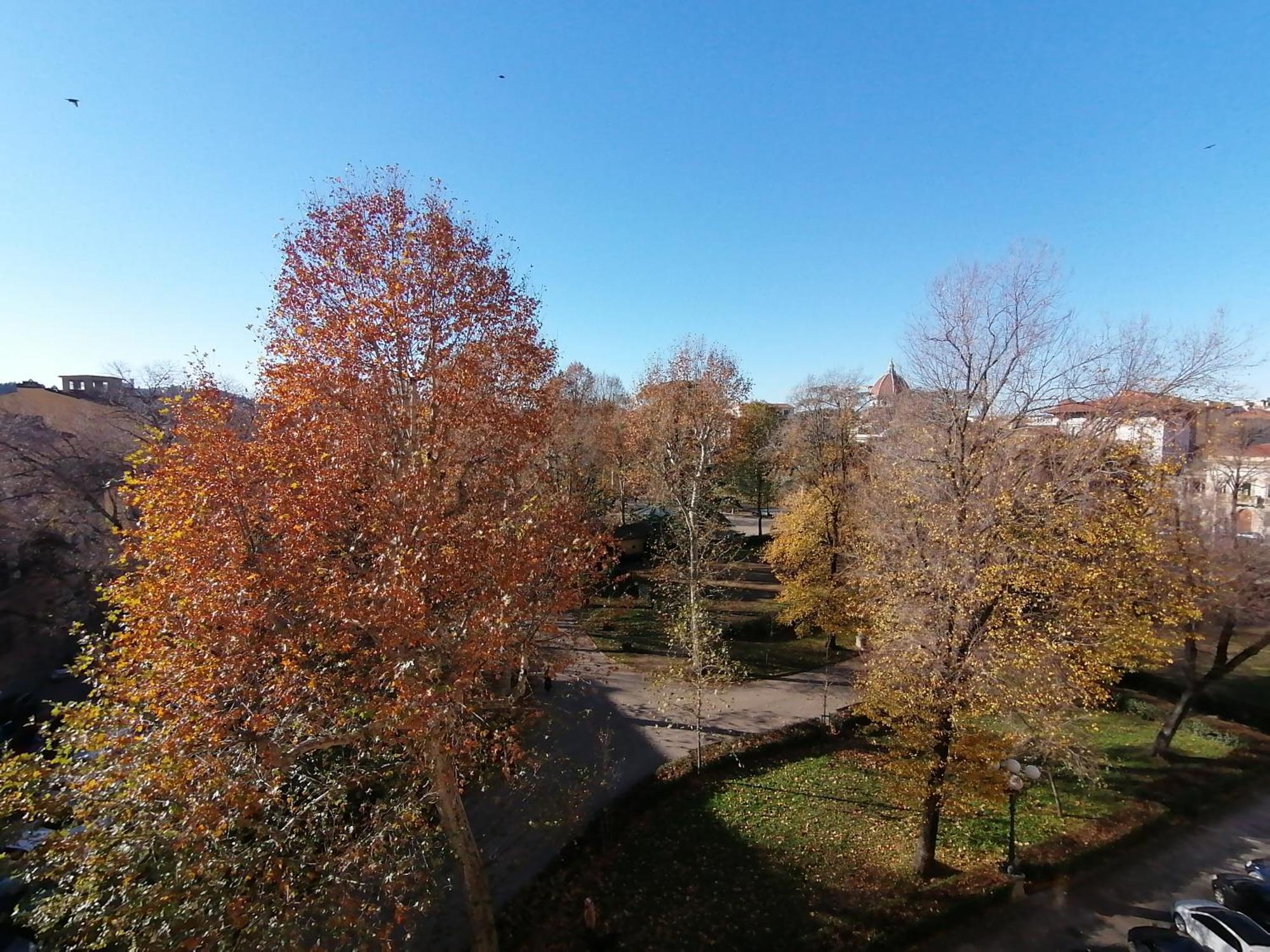 Lusso Con Vista Sul Parco-bracco View Apartment Florence